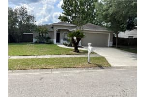 26815 ROSEANN PLACE, LUTZ, FL 33559 - MLS#MFRTB8511878