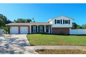 7002 Danewood Ct, TAMPA 7002 Danewood Ct, TAMPA