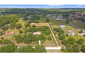 9917 NELSON ROAD, DADE CITY, FL 33525 - MLS#MFRTB8511937
