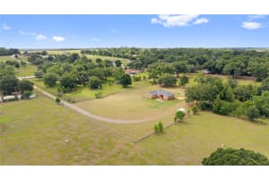 9917 NELSON ROAD, DADE CITY, FL 33525 - MLS#MFRTB8511937