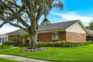 11816 LIPSEY ROAD, TAMPA, FL 33618 - MLS#MFRTB8511972