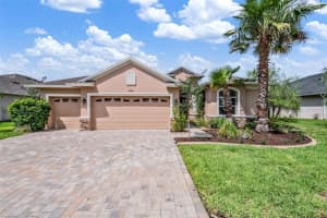27205 HAWKS NEST CIRCLE, WESLEY CHAPEL, FL 33544 - MLS#MFRTB8512012