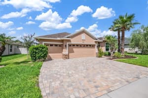 27205 HAWKS NEST CIRCLE, WESLEY CHAPEL, FL 33544 - MLS#MFRTB8512012
