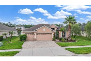 27205 HAWKS NEST CIRCLE, WESLEY CHAPEL, FL 33544 - MLS#MFRTB8512012