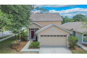 21040 GREEN WING COURT, LAND O LAKES, FL 34637 - MLS#MFRTB8512016