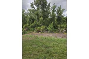9321 HUNTINGTON PARKWAY, TAMPA, FL 33647 - MLS#MFRTB8512022
