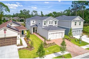 8019 ARTISAN CIRCLE, SEMINOLE, FL 33777 - MLS#MFRTB8512044