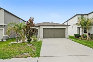 31536 BARREL WAVE WAY, WESLEY CHAPEL, FL 33545 - MLS#MFRTB8512046