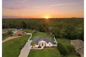 6213 Bridleford Dr, WESLEY CHAPEL 6213 Bridleford Dr, WESLEY CHAPEL