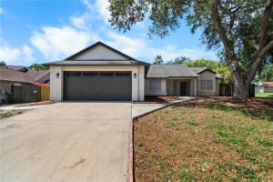 911 VALLEY VIEW CIRCLE, PALM HARBOR, FL 34684 - MLS#MFRTB8512051