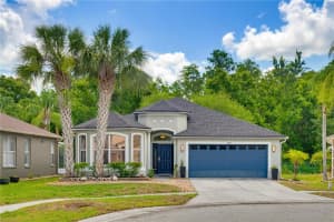 10842 WILD COTTON COURT, LAND O LAKES, FL 34638 - MLS#MFRTB8512130