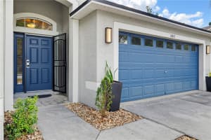 10842 WILD COTTON COURT, LAND O LAKES, FL 34638 - MLS#MFRTB8512130