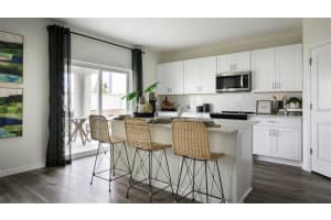 9098 BELLEVIEW FOREST PASS, DADE CITY, FL 33525 - MLS#MFRTB8512144