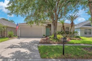 16316 BRIDGEGLADE LANE, LITHIA, FL 33547 - MLS#MFRTB8512185