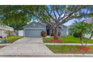 8606 FAWN CREEK DRIVE, TAMPA, FL 33626 - MLS#MFRTB8512187