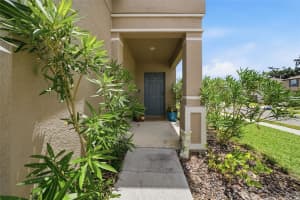 6298 BAR S BAR TRAIL, ZEPHYRHILLS, FL 33541 - MLS#MFRTB8512195