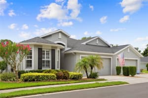 8557 Acorn Ridge Ct, TAMPA 8557 Acorn Ridge Ct, TAMPA