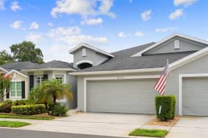 8557 ACORN RIDGE COURT, TAMPA, FL 33625 - MLS#MFRTB8512203