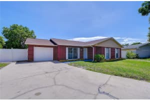 7214 NIA LANE, TAMPA, FL 33625 - MLS#MFRTB8512218