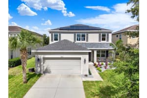 7223 BLUE BEECH DRIVE, RIVERVIEW, FL 33578 - MLS#MFRTB8512219