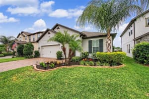 11523 NAVEL ORANGE WAY, TAMPA, FL 33626 - MLS#MFRTB8512271