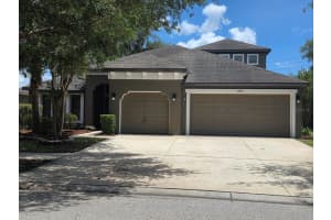 15723 STARLING WATER DRIVE, LITHIA, FL 33547 - MLS#MFRTB8512277