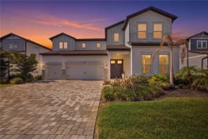 13816 Sharp Hawk Dr, RIVERVIEW 13816 Sharp Hawk Dr, RIVERVIEW