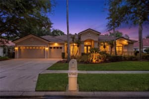 17861 ARBOR GREENE DRIVE, TAMPA, FL 33647 - MLS#MFRTB8512311