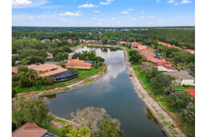 17861 ARBOR GREENE DRIVE, TAMPA, FL 33647 - MLS#MFRTB8512311
