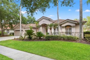 17861 ARBOR GREENE DRIVE, TAMPA, FL 33647 - MLS#MFRTB8512311
