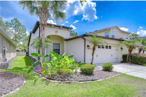 7847 Tuscany Woods Dr, TAMPA 7847 Tuscany Woods Dr, TAMPA
