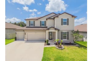 9475 Ibis Grove Blvd, WESLEY CHAPEL