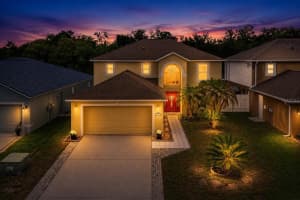 24945 RAVELLO STREET, LAND O LAKES, FL 34639 - MLS#MFRTB8512367