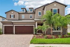 11032 Sundrift Dr, TAMPA