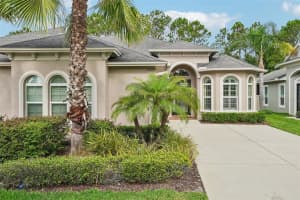 2919 DEVONOAK BOULEVARD, LAND O LAKES, FL 34638 - MLS#MFRTB8512376