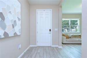 13238 BABY BELLE DRIVE, RIVERVIEW, FL 33579 - MLS#MFRTB8512394