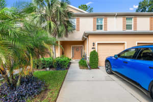 13922 Snapper Fin Ln, TAMPA 13922 Snapper Fin Ln, TAMPA