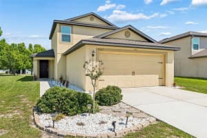 8567 INDIAN LAUREL LANE, BROOKSVILLE, FL 34613 - MLS#MFRTB8512407