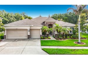 15401 AZRA DRIVE, ODESSA, FL 33556 - MLS#MFRTB8512424