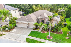 15401 AZRA DRIVE, ODESSA, FL 33556 - MLS#MFRTB8512424