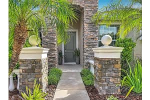 15401 AZRA DRIVE, ODESSA, FL 33556 - MLS#MFRTB8512424