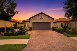8412 Alberata Vista Dr, TAMPA 8412 Alberata Vista Dr, TAMPA