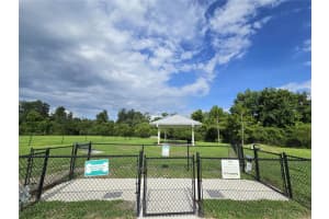 10156 AGAVE COURT, LAND O LAKES, FL 34638 - MLS#MFRTB8512532
