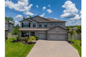 1686 Cherry Walk Rd, LUTZ 1686 Cherry Walk Rd, LUTZ