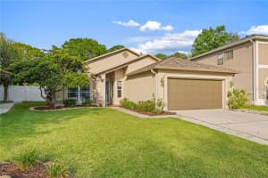 1623 GRAY BARK DRIVE, OLDSMAR, FL 34677 - MLS#MFRTB8512588