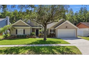 16604 COURSE DRIVE, TAMPA, FL 33624 - MLS#MFRTB8512591