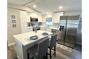 217 MOUNT PINEY AVENUE, ST PETERSBURG, FL 33702 - MLS#MFRTB8512604