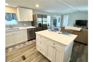 217 MOUNT PINEY AVENUE, ST PETERSBURG, FL 33702 - MLS#MFRTB8512604