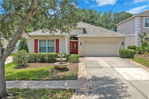 17433 New Cross Cir, LITHIA 17433 New Cross Cir, LITHIA