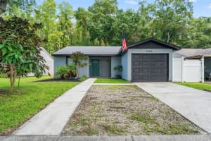 12419 Hidden Brook Dr, TAMPA
